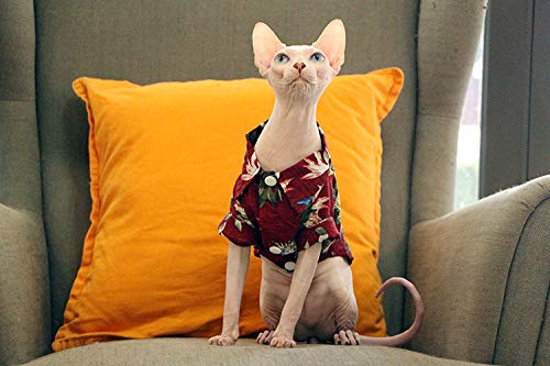 Ct Coutudi Hawaiian Dog Shirts Aloha Dog Shirt Pet Summer Cool Summer Flower Pineapple Shirt For Small To Medium Puppy Dog Cat #TOP1