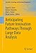 Produktbild Anticipating Future Innovation Pathways Through Large Data Analysis (Innovation, Technology, and Knowledge Management)