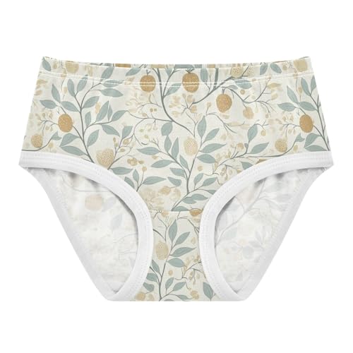 ZZKKO Farmhouse Fruit Floral Leaves Girls Underwear Toddler Panties for Girls Comfort Brief Size 2-8T