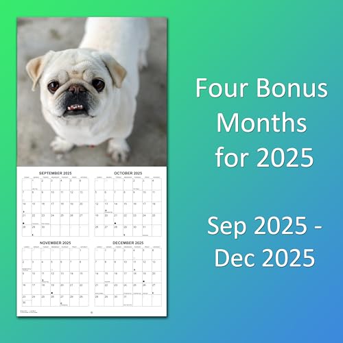 2026 Pugs Monthly Wall Calendar | Cute Dogs Calendar September 2025 - December 2026