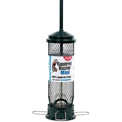 Cheap Jacobi Jayne Squirrel Proof Bird Feeder Squirrel