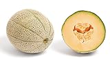 30 semillas Melón Cantalupo (Cucumis melo) - Pulpa Anaranjada Dulce y Aromática - Cultivo Fácil - Fruto Jugoso de Verano