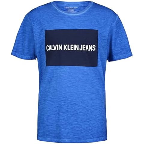 Calvin Klein Boys' Logo T-Shirt in Prince Blue Cover