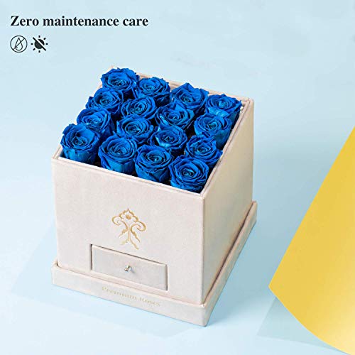 Premium Roses| Real Roses That Last a Year | Fresh Flowers| Roses in a Box (White Box, Medium)