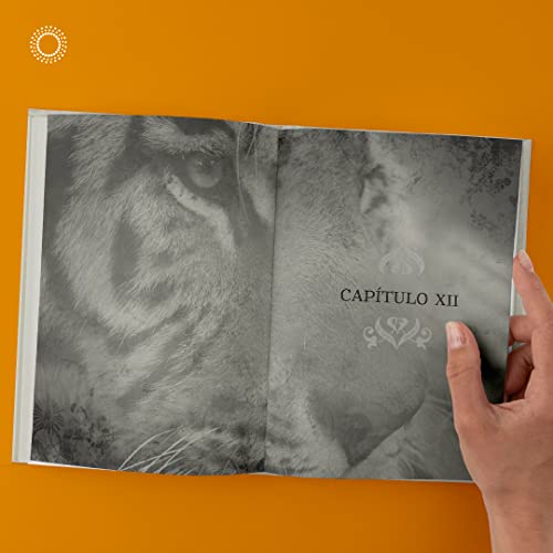 O caminho do buscador: A trilha do Bodhisattva