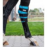 waldhausen schweiz  Waldhausen Sprunggelenk Kühlgamasche Gel Größe: WB Farbe: Petrol