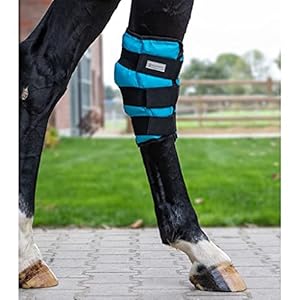 Waldhausen Springgewricht koelbeenkappen gel