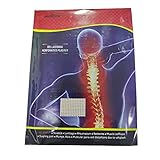 Ayucine Forever Mehta's Belladonna Perforated Plaster (10cm x 16cm) - 10 Sheets x Pack of 1 SHL02_1