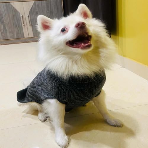 Image of Lulala Dog Sweater Turtleneck Knitwear for Large Dogs, Warm Cable Knit Autumn Coat, Cold Weather Pet Clothes for Boys and Girls (14-Inch, Light Grey)