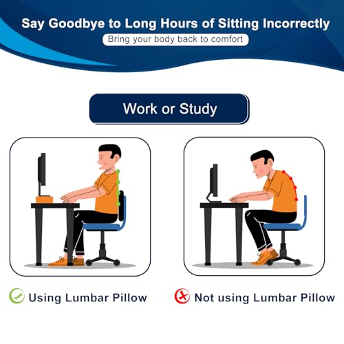 image for QUTOOL Lumbar Support Pillow for Office Chair, Memory Foam Low Back Su