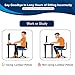 QUTOOL Lumbar Support Pillow for Office Chair, Memory Foam Low Back Support,Back Pain Relief, Ergonomic Back Cushion for Desk Chair,Gaming Chair,Adjustable Strap and Washable Cover