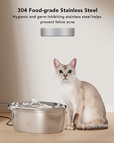 https://m.media-amazon.com/images/I/41XpCWTdSAL._SL500_.jpg