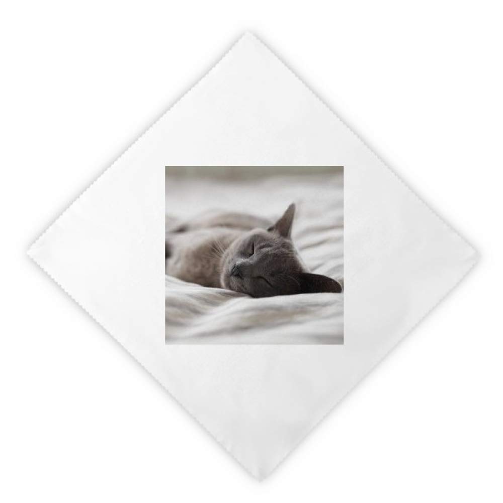 Serviettes de table chat gris réutilisables pour un dîner chaleureux et convivial en famille