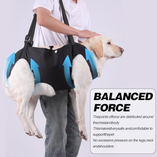 Yuragim Hunde Tragehilfe, Tragbares Hundegeschirr Treppe Verstellbare Tragehilfe Geschirr Hebegeschirr für Hinterbeine Hüftstütze mit Griffen Sicherheitsunterstützung für behinderte, verletzte Hunde