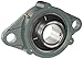 NTN UCFL305D1 Heavy Duty Flange Bearing, 2 Bolts, Setscrew Lock, Regreasable, Contact and Flinger Seals, Cast Iron, 250mm Bore, 4-7/16" Bolt Hole Spacing Width, 3-5/32" Height, 2451lbf Static Load Capacity, 4766lbf Dynamic Load Capacity
