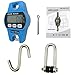 Outmate Digital Crane Scale 300kg/660lbs 200kg/440lbs with LED Handheld Mini Hanging Scale for Garage Farm Hunting Fishing Etc(300kg/Plastic Shell/Blue)