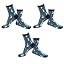 Blue Penguins
