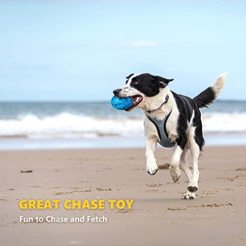 EASTBLUE Squeaky Dog Toys for Aggressive Chewers: Rubber Puppy Chew Ball with Squeaker, Almost Indestructible and Durable Pet Toy for Medium and Large Breed