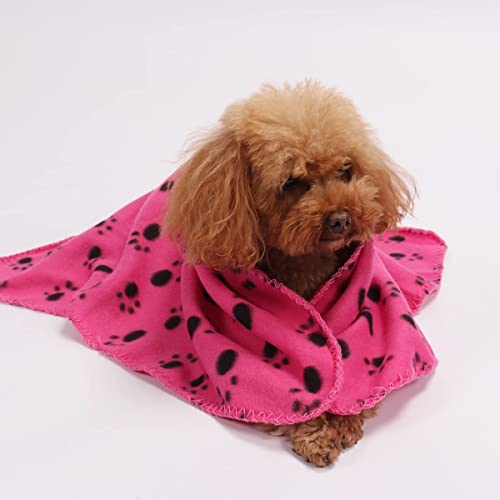 ZDHOSTY Pet Blanket 28 x 24 Inches、60 x 70 cm for Small Dogs Cats Soft Puppy Blankets Washable Pet Fleece Blankets with Paw Print ((3, Black+ Blue+ Beige, King (U.K. Standard)) - Image 4