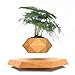 HCNT Levitating Plant Pot, Magnetic Levitation Flower Pot Rotating Planters Suspension Floating Plant Succulents Potted for Home Living Room Office Desk Decoration (Wood)