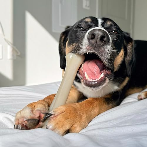 Image of Nylabone Strong Chew Gourmet Style Knuckle Bone Dog Chew Toy, X-Large | Filet mignon flavor, durable chew toys, long lasting, encourages healthy chewing, helps clean teeth, for dogs 50+ lbs