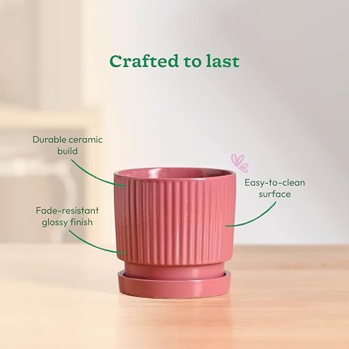 Image of UGAOO Roma Ceramic Flower Pot for Indoor Plants, 4 Inch - Magenta