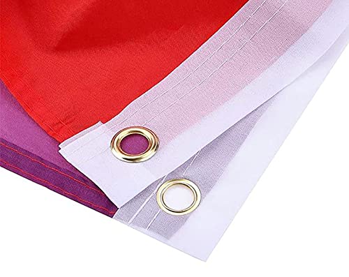 Pride Flag 3X5 Anti-Ultraviolet Anti-Fading Gay Pride Flag Rainbow Flag For Wall Hanging Indoor Outdoor Lgbt Flag #TOP4