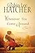 Whenever You Come Around (A Kings Meadow Romance)