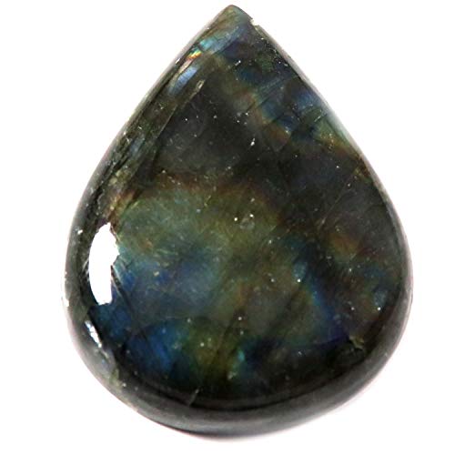 ���u���h���C�g �� �V�R��� ���[�X �J�{�V���� 81.25�J���b�g Ku41-B0831JCD25