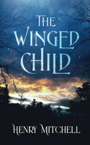 The Winged Child view 2