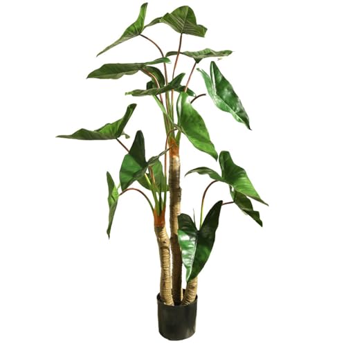 [LJKI] �l�H�ϗt�A�� �����s�v �엿�͕s�v �N���Y�C�� �ϗt�� 160cm �������ȒP �C���e���A�O���[�� ������� �I�t�B�X ���� ���� ���A�� �{���������� ���K�̖� �傫�� ������ �X�� ��c�� �z�e�� �V�z�j�� ���z���j�� �v���[���g �M