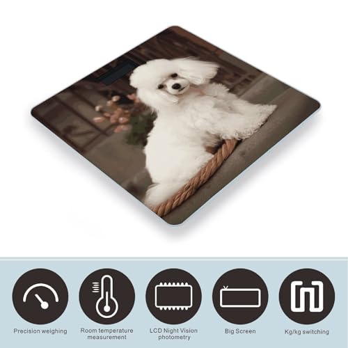 Báscula digital French Poodle de vidrio templado con pantalla LCD miniatura 3
