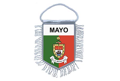 Fanion Mini Drapeau Pays Voiture Decoration Souvenir Blason Vanadzor Armenie