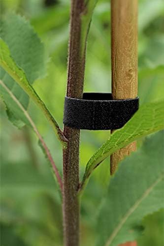 Miniatura 5 de VViViD Cinta de fijación reutilizable multiusos de doble cara Hook N' Loop (1 pulgada x 18 pies)