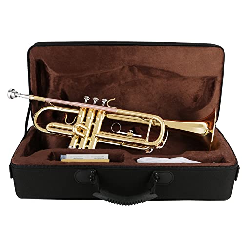 Eastrock Bb Trumpet Standard Trumpet Set With Carrying Case,Gloves, 7C Mouthpiece, Cleaning Kit, Tuning Rod (Gold/Phosphor Copper) #TOP5