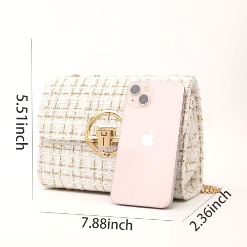 Crossbody Purses for Women Leather Small Cross Body Bags Cute Designer Handbags Chain Ladies Shoulder Bags Clutch2