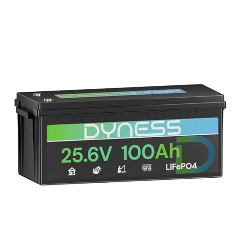 Dyness Batería Litio 24v 100ah Lifepo4 Con Bms 100a Y Protección Contra Bajas Temperatura, 24v Bateria Lifepo4 Para Camper, Solar, Autocaravanas Rv , Barcos De Pesca De Róbalo Dyness Batería Litio 24v 100ah Lifepo4 Con Bms 100a Y Protección Contra Bajas Temperatura, 24v Bateria Lifepo4 Para Camper, Solar, Autocaravanas Rv , Barcos De Pesca De Róbalo