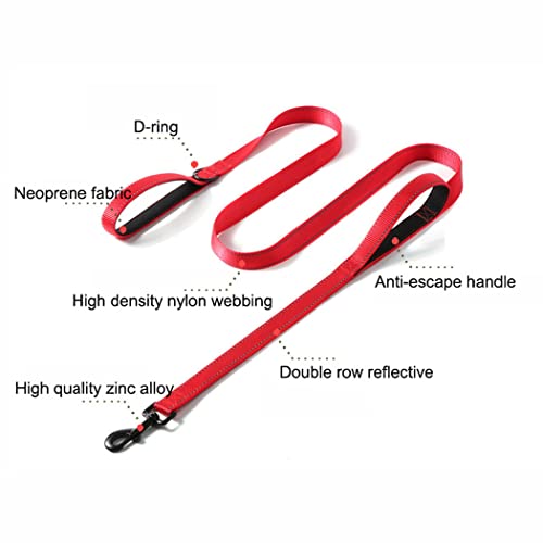 Double Handle Dog Leash Specifications