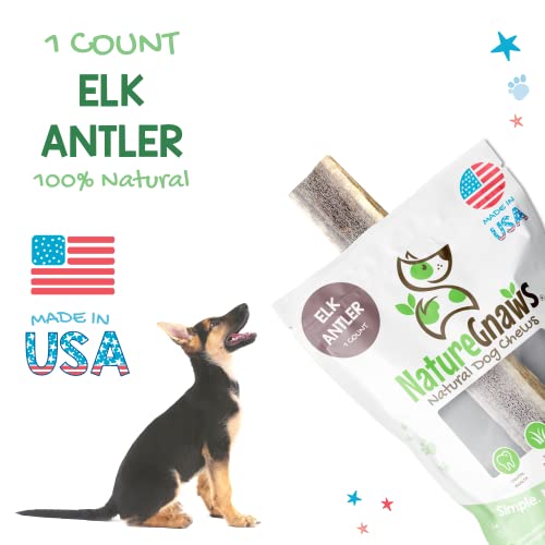 Nature Gnaws Elk Antlers For Large Dogs - Premium Natural Usa Antler - Long Lasting Dog Bones For Aggressive Chewers - Mix Of Split And Whole - 5-8 Inch #TOP1