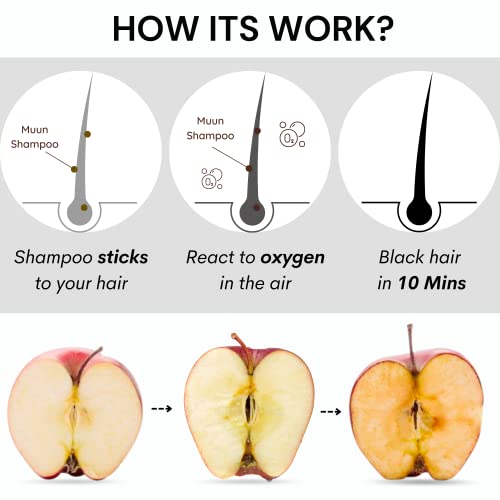 Black Hair Dye Shampoo - 3-In-1 Ammonia Free Hair Color Shampoo For Gray Hair Coverage For Women And Men In Minutes With Herbal Natural Ingredients 400Ml #TOP4