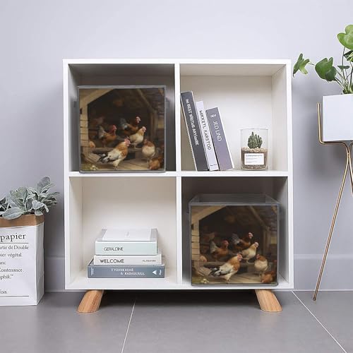 Bac de rangement vêtement pliable imprimé ferme pour placard