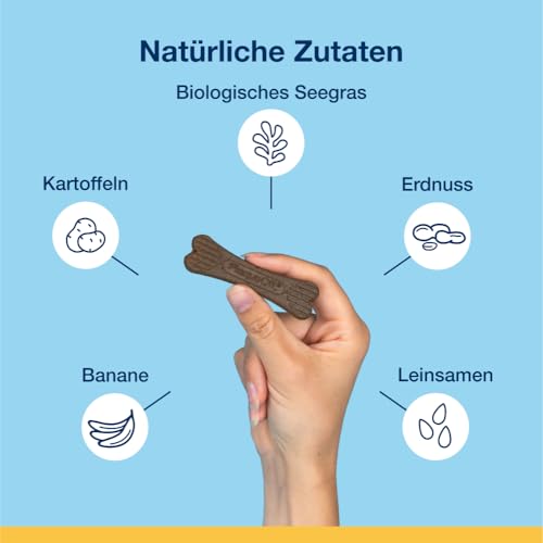 ProDen PlaqueOff Hunde Zahnpflege, Bundle aus 60 g Zahnpulver und Packung mit 20 Mini Kauknochen Erdnussbutter & Banane, natürliche Zahnreinigung Hund und Plaque Entferner, für frischen Atem