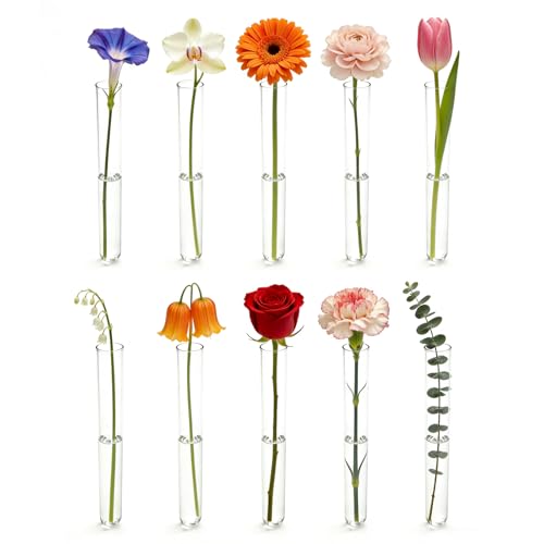 10 Pcs Glass Test Tubes for Plants 6 Inch Plant Propagation Tubes Clear Propagation Vases Hydroponic Planter for Home Office Desktop Decoration