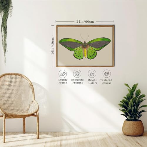 crmotu Vintage Framed Wall Art, Green Butterfly Rustic Wall Decorations, Nature Insect Pictures Canvas Prints, Retro Moth Paintings Wall Decor Living Room Bedroom, Farmhouse Bathroom Decor, 16x24 inch