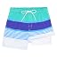 Bluegreenstriped