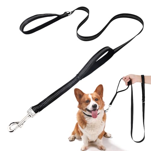 Kzouenzu Guinzaglio Per Cani [Cordon de serrage double], 2m X 2.5cm, Guinzaglio Per Cani Addestramento, Resistente Leggero Con Fibbia Lega Zinco, Per Seguono Obbedienza [Nero]