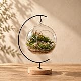LuckyRunes DIY Glass Globe Kit