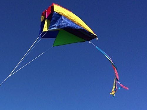 Parafoil 5 Kite - Multicolor