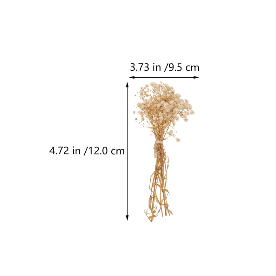 Ramillete decorativo con 5 paquetes de flores Gypsophila secas miniatura 2