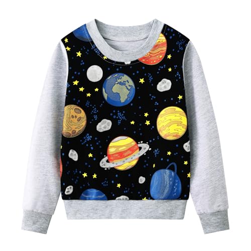 2-Pack Toddler Sweatshirts Kid Boys Printed Cotton Long-sleeved Tops Crewneck Pullover Shirts For Kids 3-8 Years2